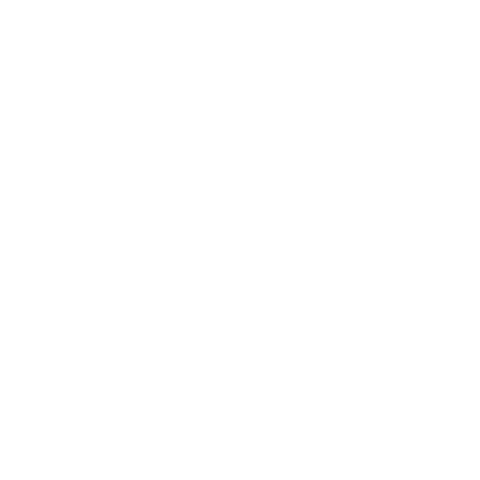 Iso Standardi 9001